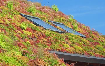 Wilkesley living roof systems