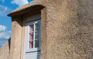 Wilkesley thatch roof disadvantages