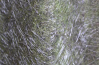 Wilkesley fibreglass roof work